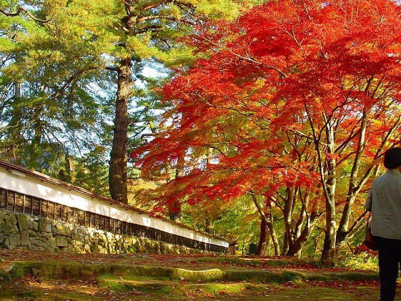 Tabist Hana Hotel Takinoya Aizu-Yanaizu Exteriör bild